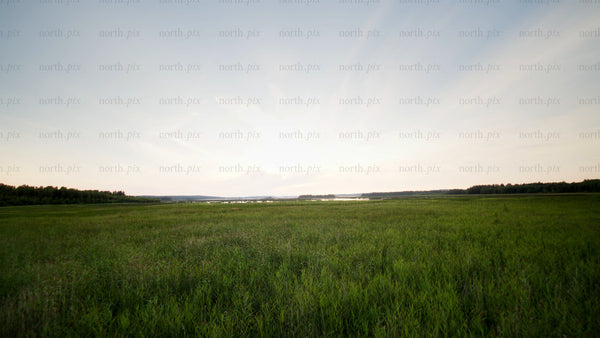 Flying over green meadow at evening, summer nature landscape with lake or river