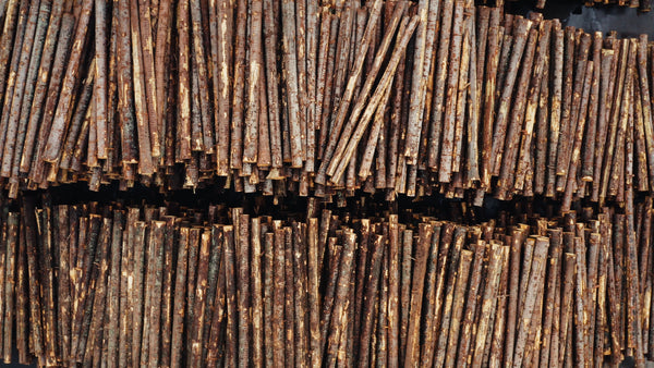 Aerial view of stacked logs at a lumber mill: A look at the timber industry