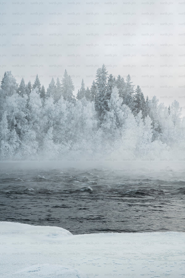 Frozen river with frosted forest and morning mist