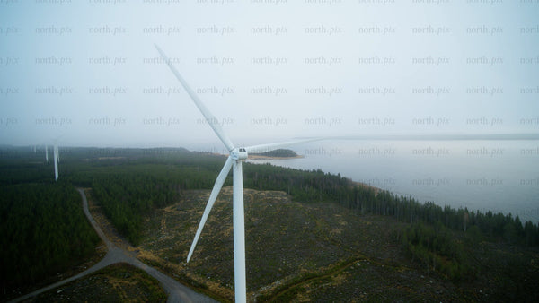 Wind turbine in misty forest: Sustainable energy amidst nature's tranquility