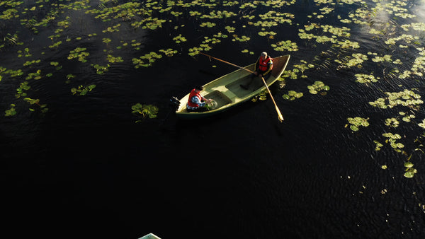 Crayfish fishing from boats on a misty summer morning in Luleå