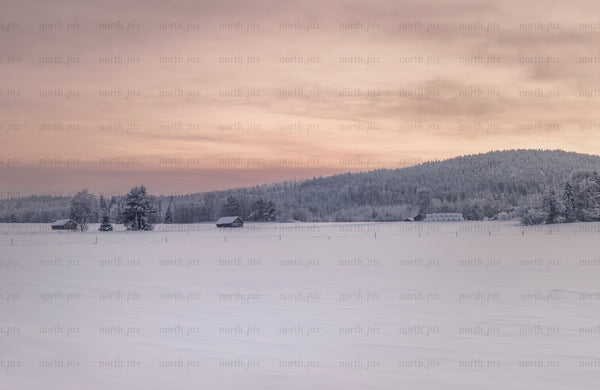 Snow-covered field with farm buildings at sunrise