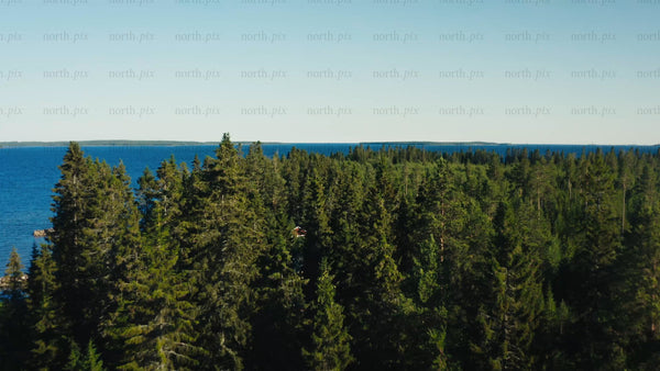 Summer in Luleå archipelago: Drone shot of coastal forest and calm waters
