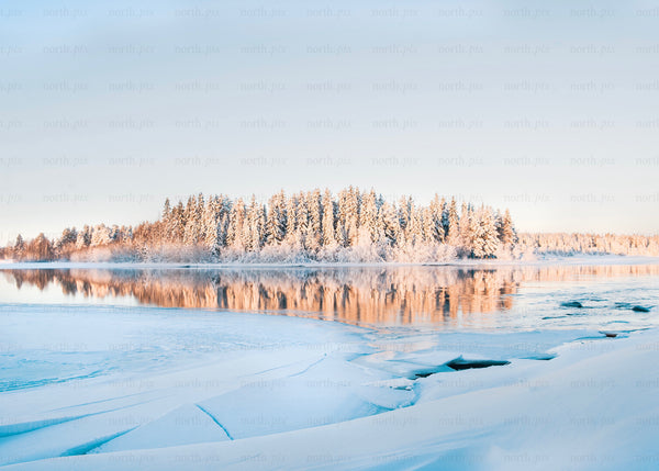 Winter morning over frozen lake and snowy forest in Luleå