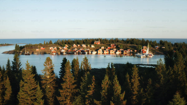 Summer day in the Swedish archipelago: Red cabins on a forested island