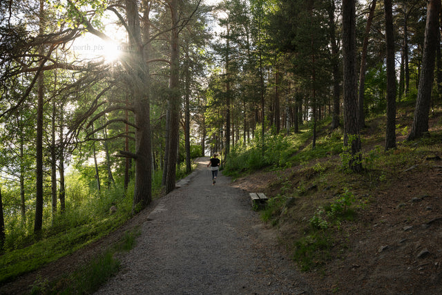 Runner on forest trail in summer evening