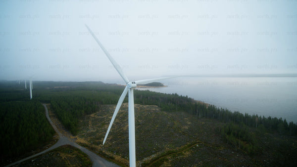 Wind turbine in misty forest: Sustainable energy amidst nature's tranquility