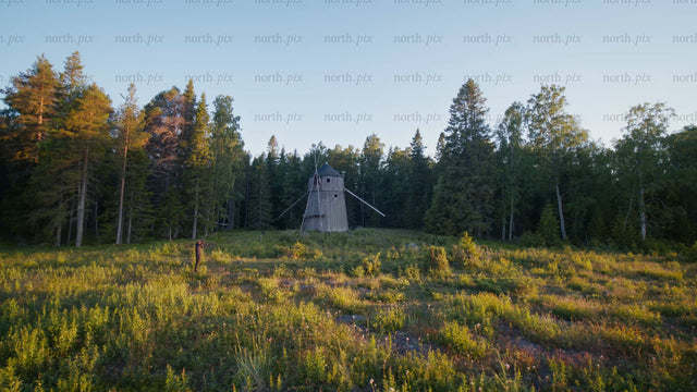 Man walking towards a wooden windmill in Luleå, on a summer evening