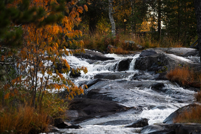 Autumn stream cascading over rocks in forest
