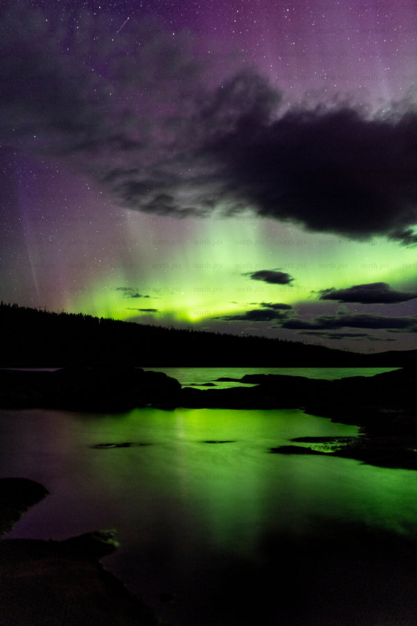 Northern Lights over lake with forest silhouette