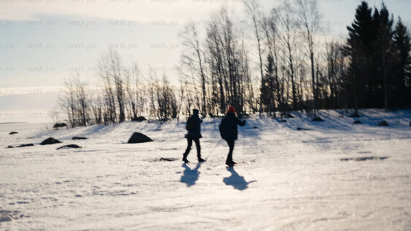 Winter cross-country skiing in the Luleå archipelago