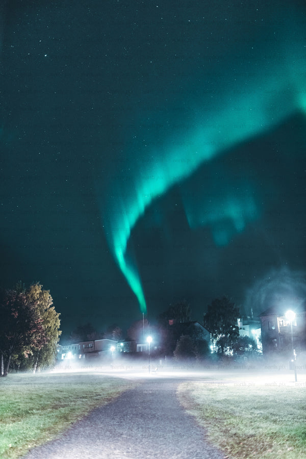 Northern lights over suburban park at night