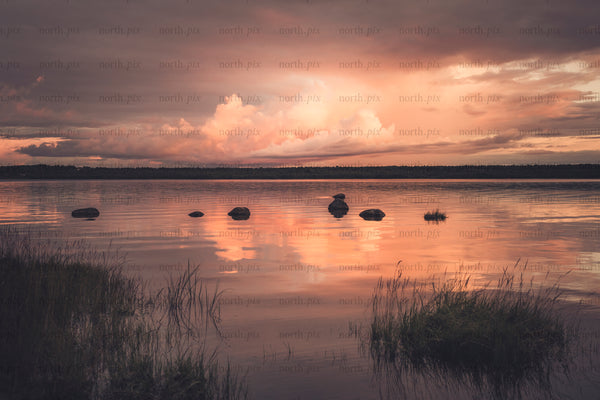 Rocks and grasses along a lake at sunset