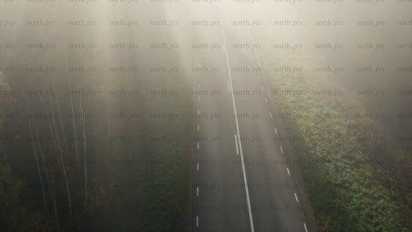 Misty forest road: Car driving through autumn fog