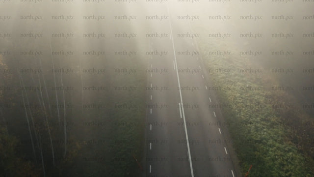 Misty forest road: Car driving through autumn fog
