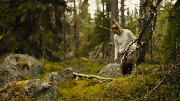 Woman picking berries in a summer forest in Luleå