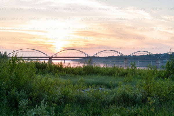 Arch bridge over river at sunset with foreground vegetation