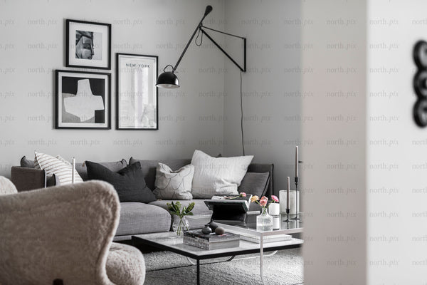 Living room interior with gray sofa in daylight