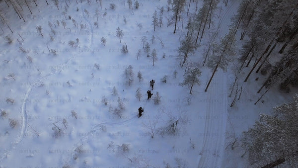 Snowshoeing in Gunnarsbyn: Friends exploring a winter wonderland