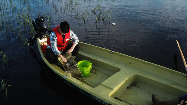Checking crayfish traps from a boat on a calm summer evening in Luleå
