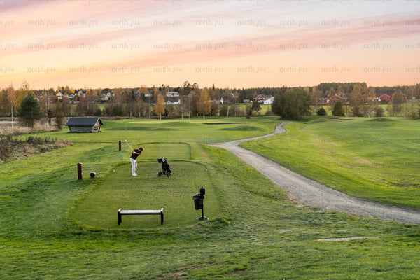 Golfer teeing off on golf course at sunset