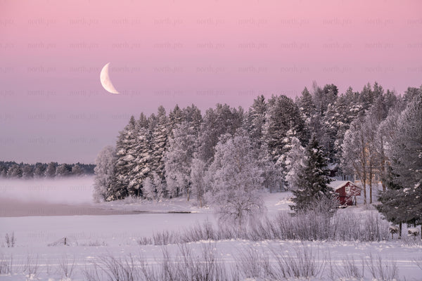 Crescent moon over snowy forest and red cabin at dusk
