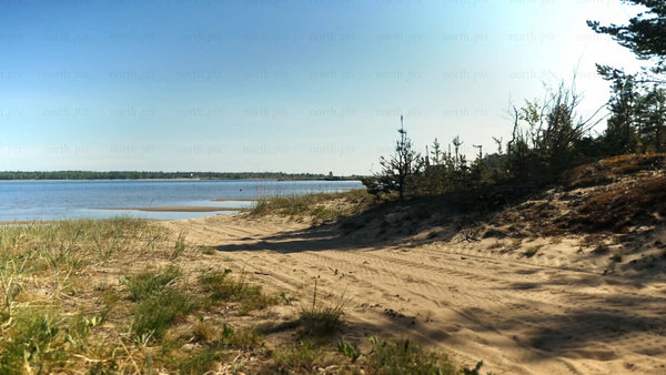 Summer fat biking in Luleå: Friends exploring the coastal trails of sandon