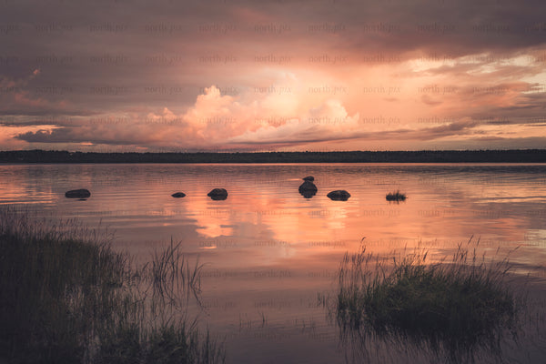 Rocks and grasses along a lake at sunset