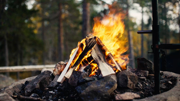 Cozy campfire in the evening forest of Luleå