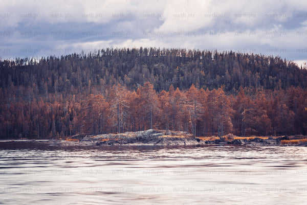Autumn forest island on rocky river shoreline