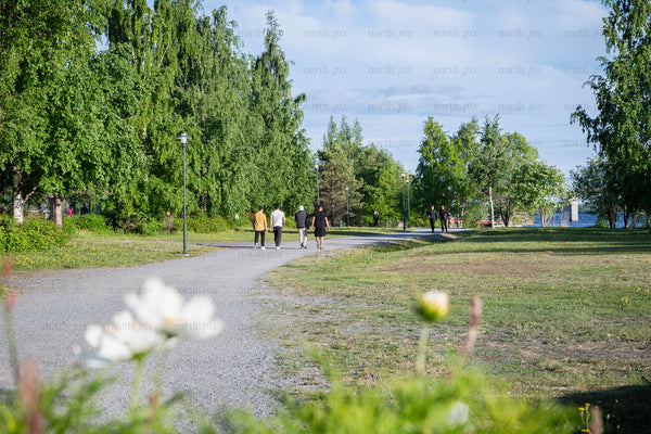 People walking on a park path on a summer afternoon