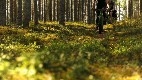 Summer fat biking adventure on a forest trail in Luleå