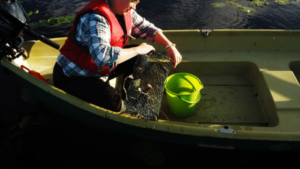 Emptying crayfish trap into bucket from boat on lake in summer