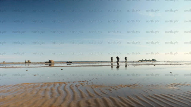 Group fat biking on wet sand at sandön archipelago beach in Luleå̊