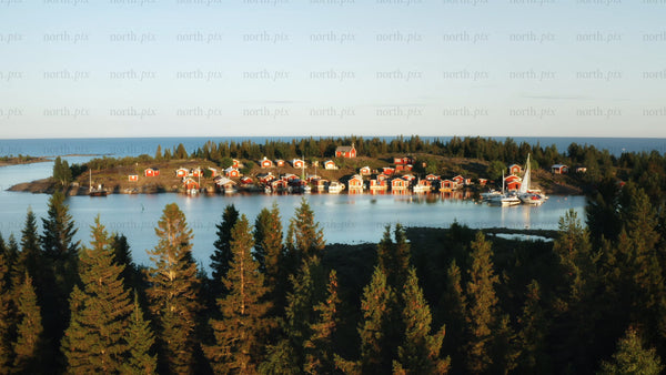 Summer day in the Swedish archipelago: Red cabins on a forested island
