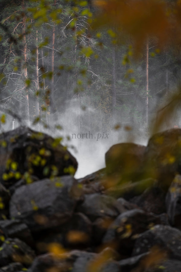 Rugged rocks and misty forest with autumn leaves