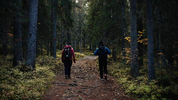 Autumn hike in Luleå: Two people explore forest trail on Bälingeberget