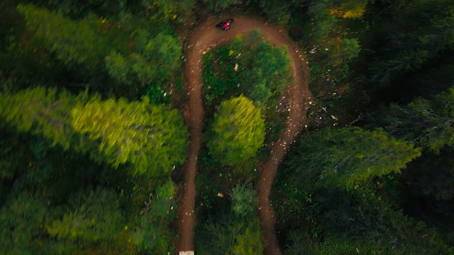 Mountain biker riding downhill on a winding dirt trail in a forest