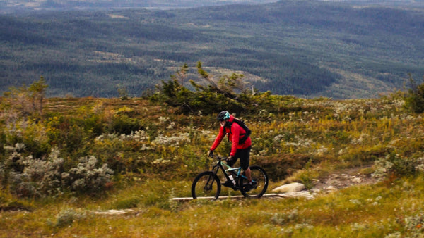 Mountain biker rides downhill on scenic mountain trail