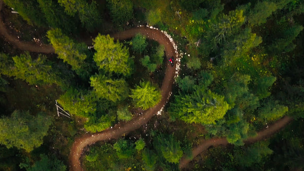 Mountain biker on downhill forest trail in summer