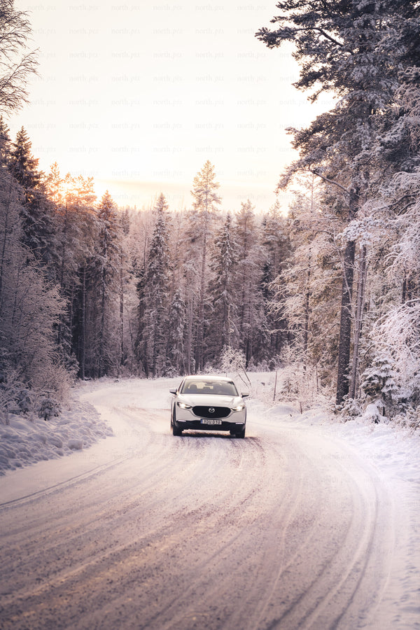 Car driving on snowy forest road at sunrise