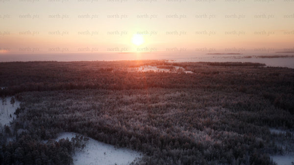 Winter sunrise over frozen sea and forest in Luleå