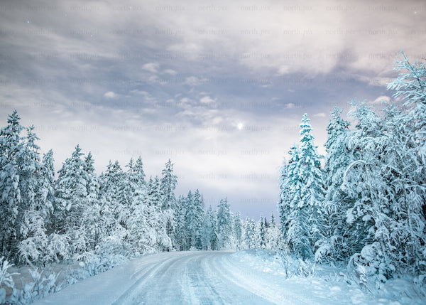 Snow-covered forest road in winter evening under cloudy sky