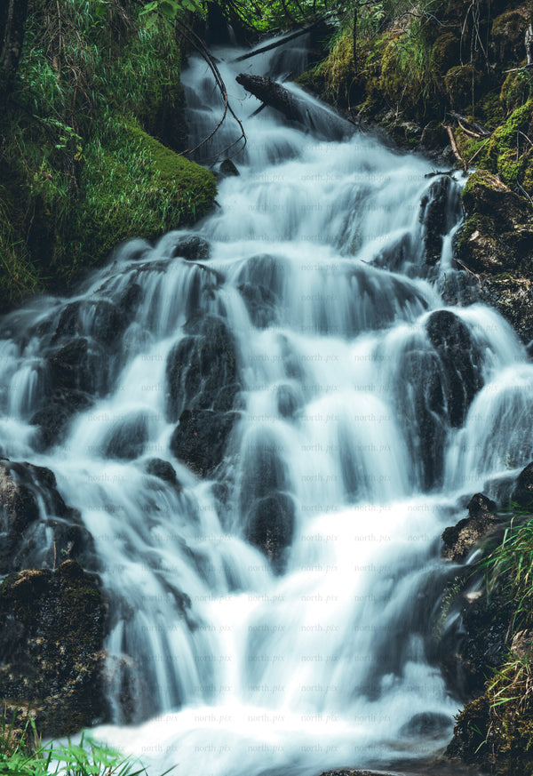 Small waterfall cascade in mossy forest