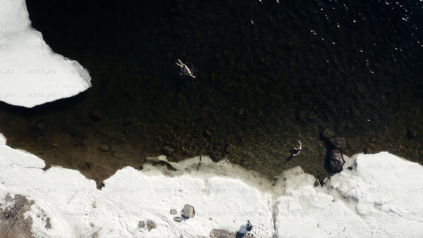 Winter ice bath in Luleå: Two people swimming in freezing water