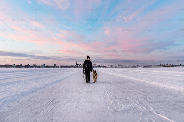 Person walking dog on frozen lake under pink sunrise sky