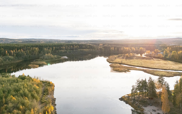 Aerial view of river bend and forest at sunset