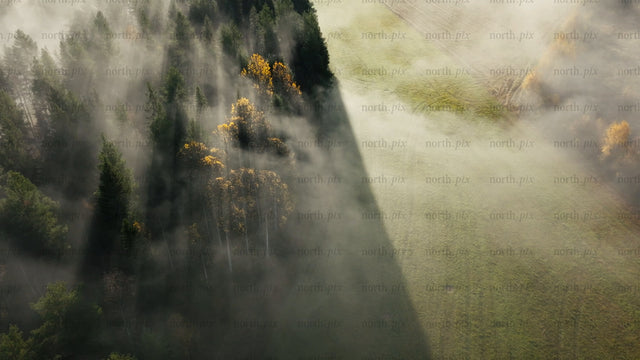 Aerial view of misty autumn forest and green field in foggy morning