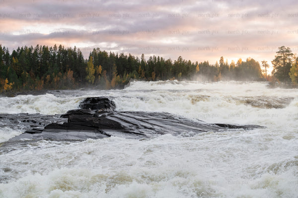 River rapids flowing over rocks at sunrise