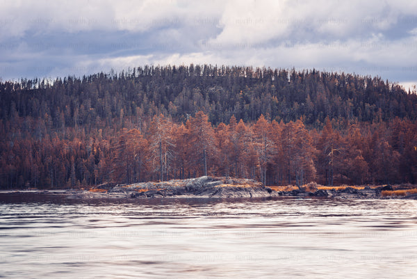 Autumn forest island on rocky river shoreline